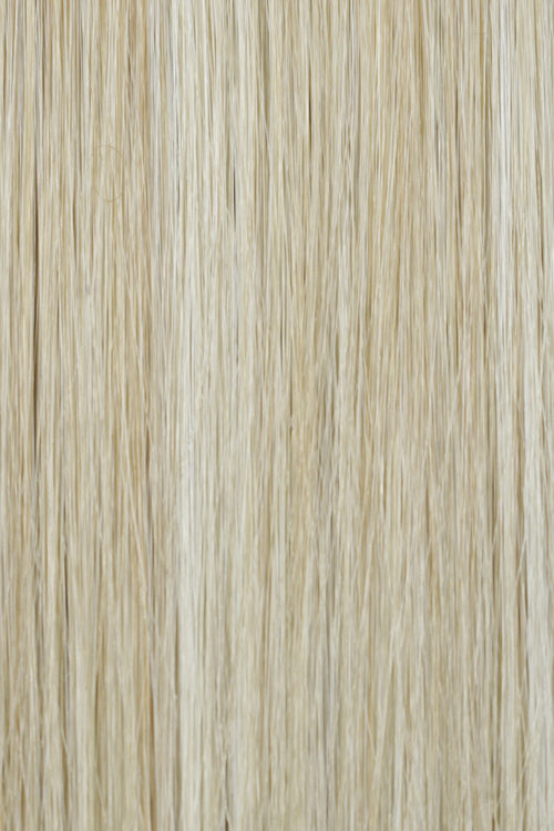 Buttercream Halo (223/23C) Light Golden Blonde