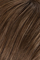 Brown w Dark Beige Blonde Highlights (14HL8)