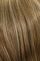 Light Ash Brown Ash Blonde (18/22)