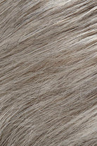 Oyster Mushroom (56/51)