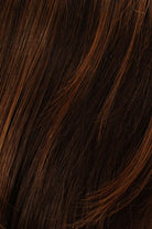 Medium Brown w Lightest Red Highlights (6/27)