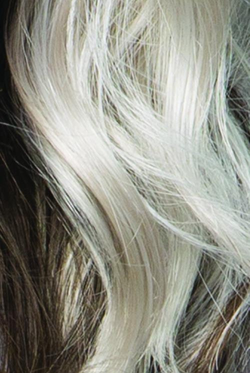 Iced Blonde W Soft Sand N Golden Brown Roots w Golden Brown Under (Icy Shadow)