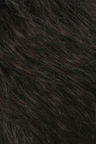 Darkest Brown w Dark Brown Blend (R2/4)