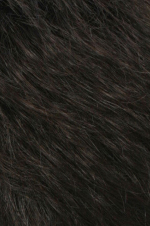 Darkest Brown w Dark Brown Blend (R2/4)