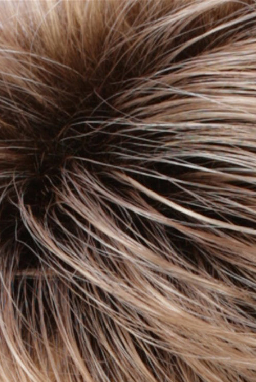 Light Auburn w Golden Blonde Frost w Golden Brown Roots (R20RT8)