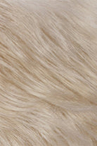 Light Blonde w Palest Blonde Blend (R22/102)