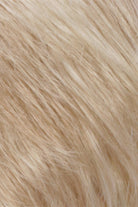 Golden Blonde w Pale Blonde Blend (R26/613)