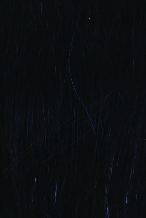 Ebony (R2)