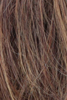 Dark Brown w Dark Auburn w Medium Golden Blonde Frost (R32/33/40F)