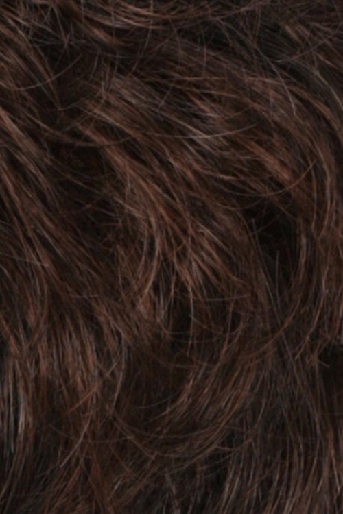 Chestnut Brown w Medium Auburn Frost (R36F)