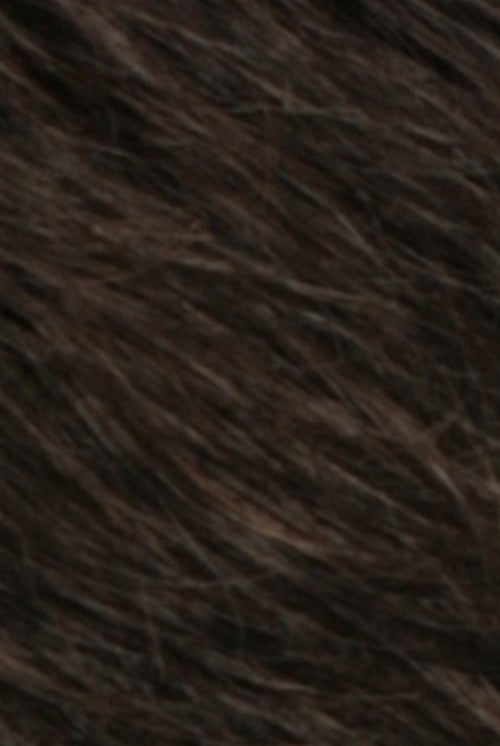 Dark Brown w Golden Brown Blend (R4/8)