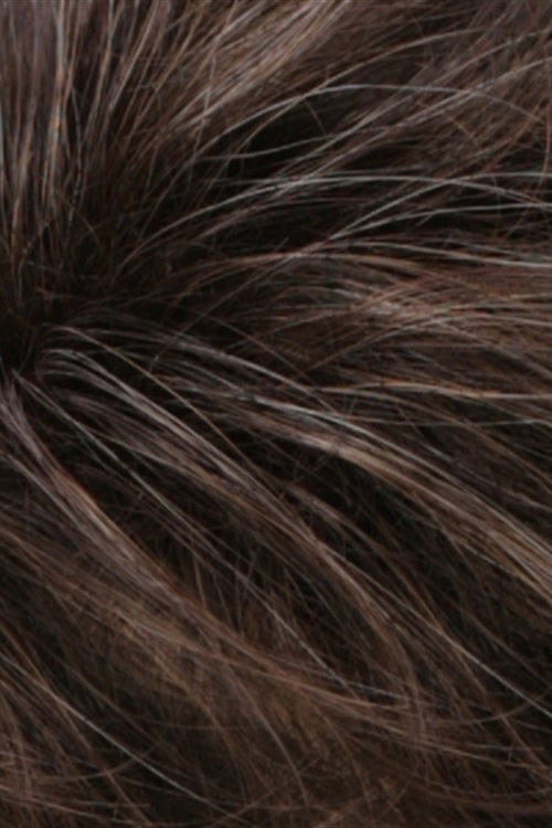 Chestnut Brown w Medium Ash Brown Highlights (R6/12H)