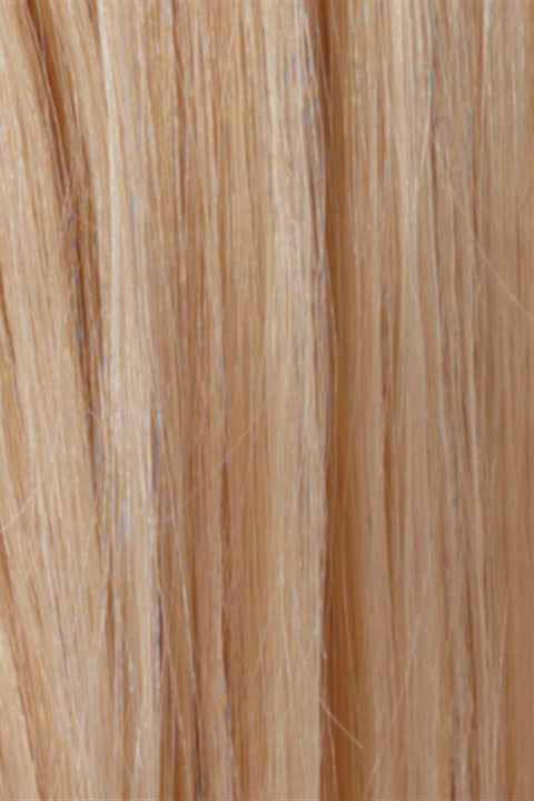 Pale Golden Blonde / Light Ash Blonde Highlights (R613/24H)