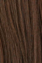 Golden Brown / Dark Auburn Highlights (R8/32H)