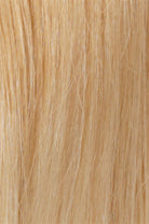 Light Auburn Tipped w Pale Blonde (RT613/27)