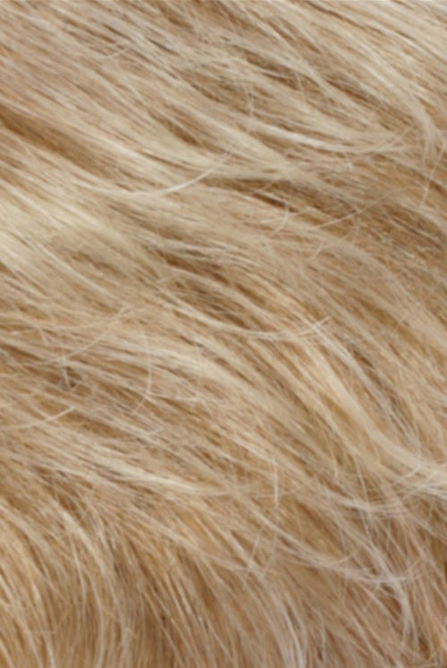 Light Auburn Tipped w Pale Blonde (RT613/27)