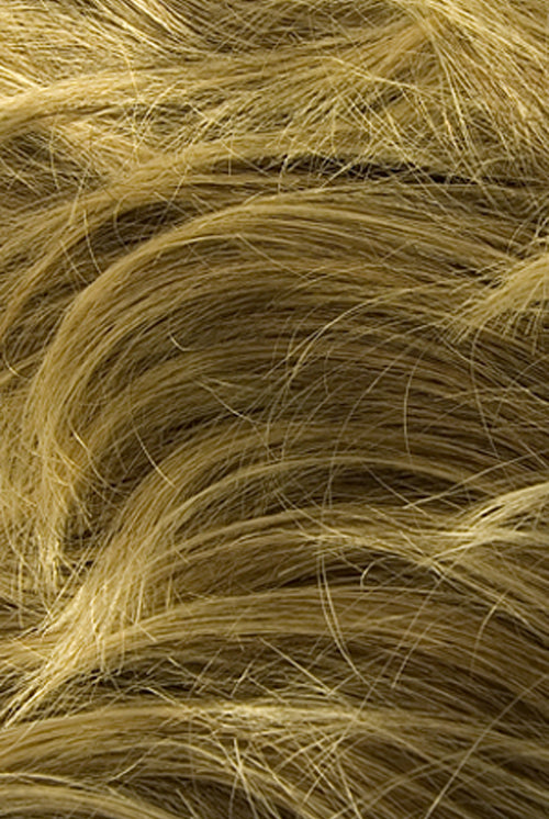 Sunny Blond