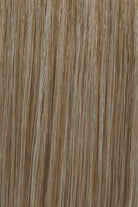 Light Ash Blonde w Platinum Blonde highlights (10/613)