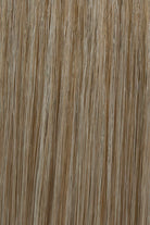 Light ash blonde with platinum blonde highlights (10/613)