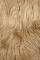 Ash Blonde with Platinum Blonde highlights (16H)