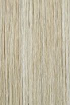 Buttercream Halo (223/23C) Light Golden Blonde