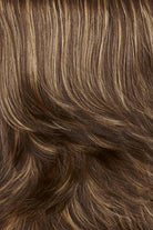 Dark Brown with Golden Blonde highlights (626H)