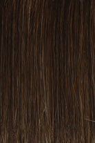 Chocolate Daze (8R) Medium Brown