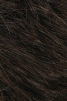 Dark Brown w Chestnut Brown Blend (R4/6)