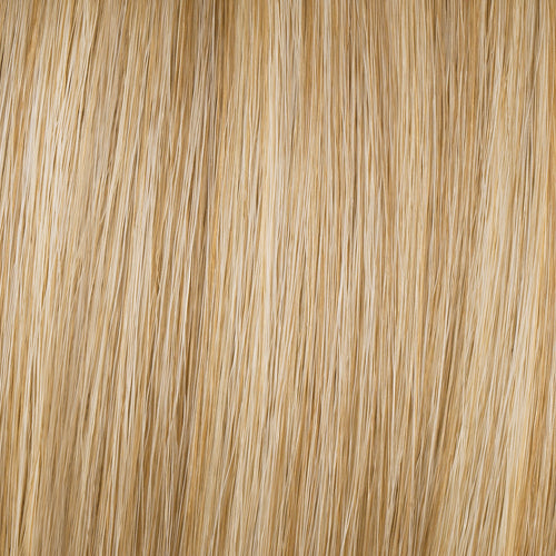 Golden Wheat (GF14-88)