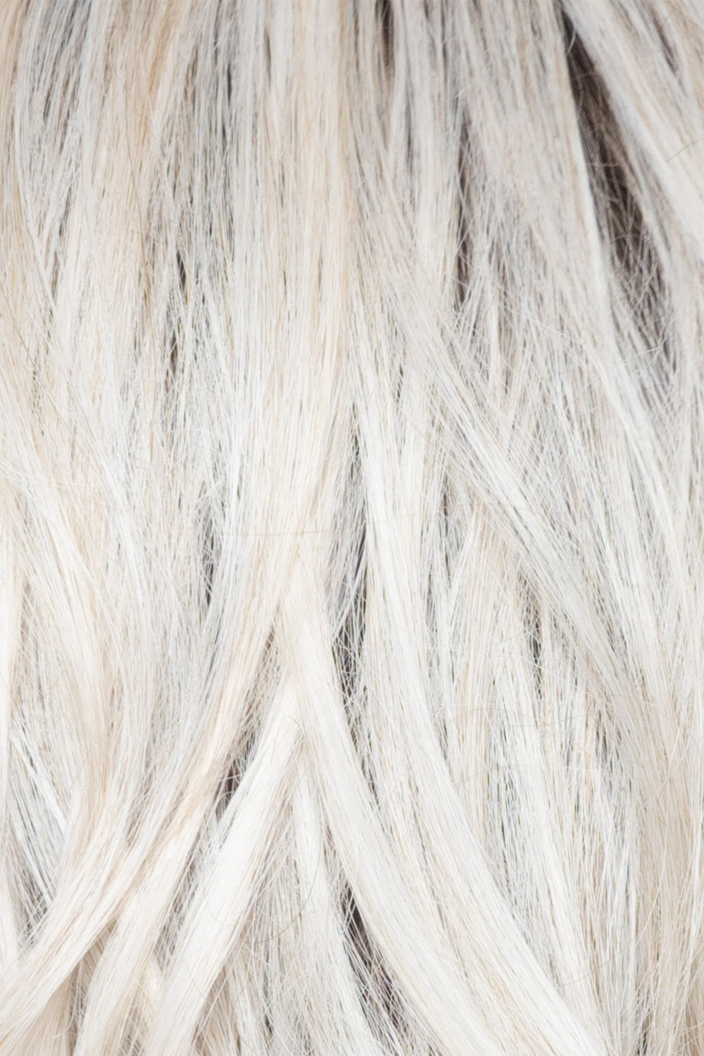 White Rose Blond R