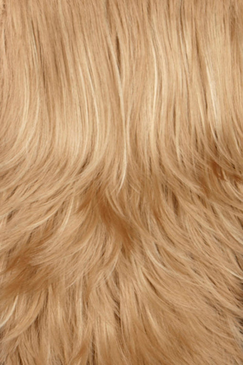 Ash Blonde with Platinum Blonde highlights (16H)