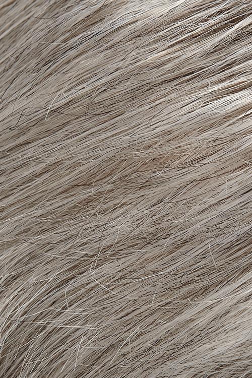 Oyster Mushroom (56/51)