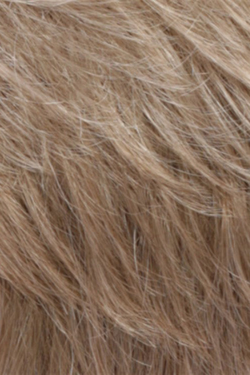 Dark Golden Blonde Lightening to Platinum Mix in Front (R25LF123)