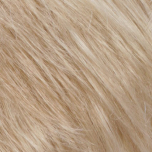 Golden Blonde w Pale Blonde Blend (R26/613)