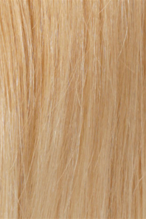 Light Auburn Tipped w Pale Blonde (RT613/27)