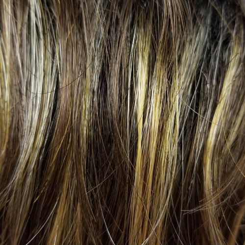 Golden Brown w Light Copper Blonde Highlights (CARAMELKISS)